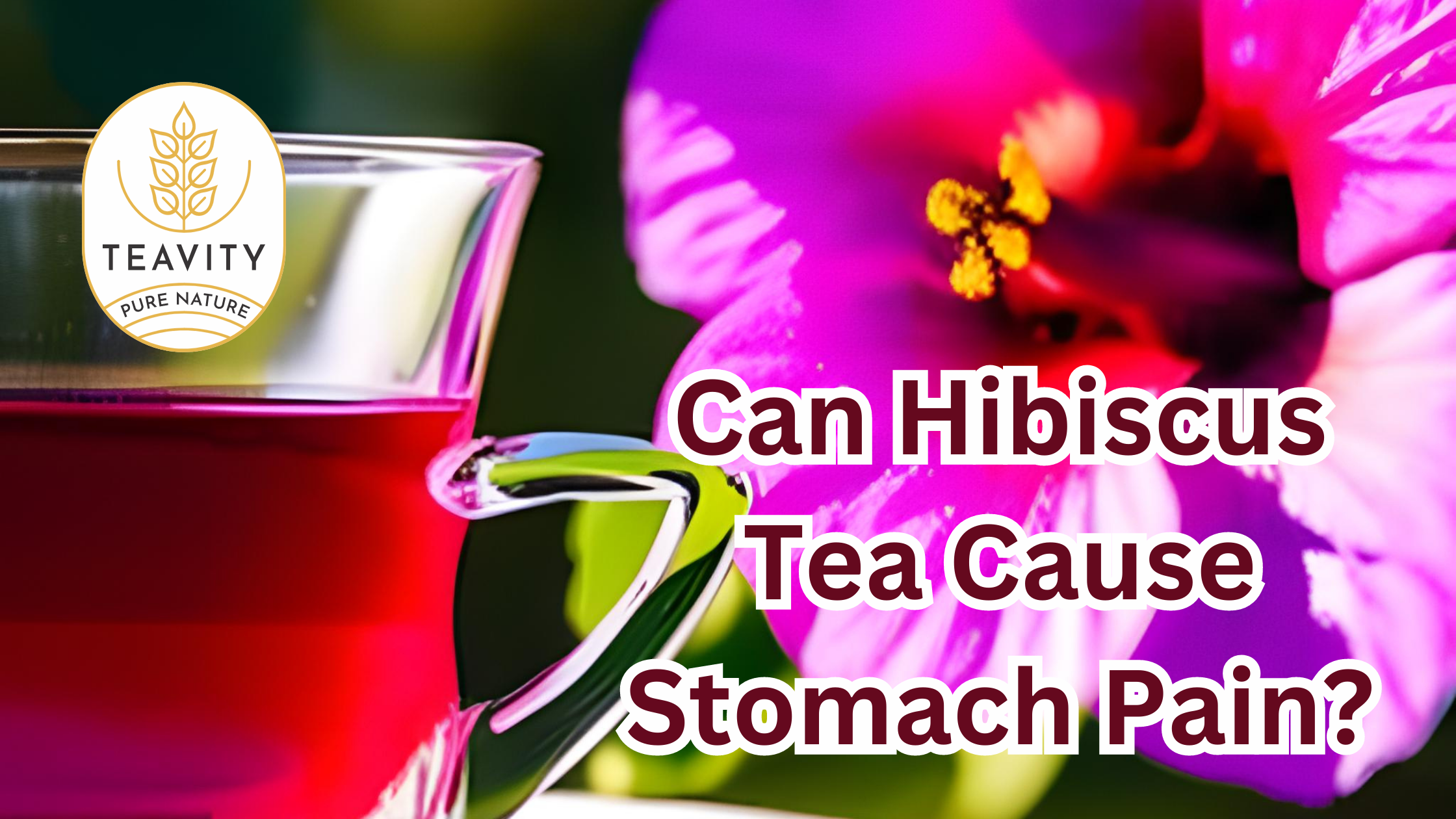 Can-Hibiscus-Tea-Cause-Stomach-Pain Teavity