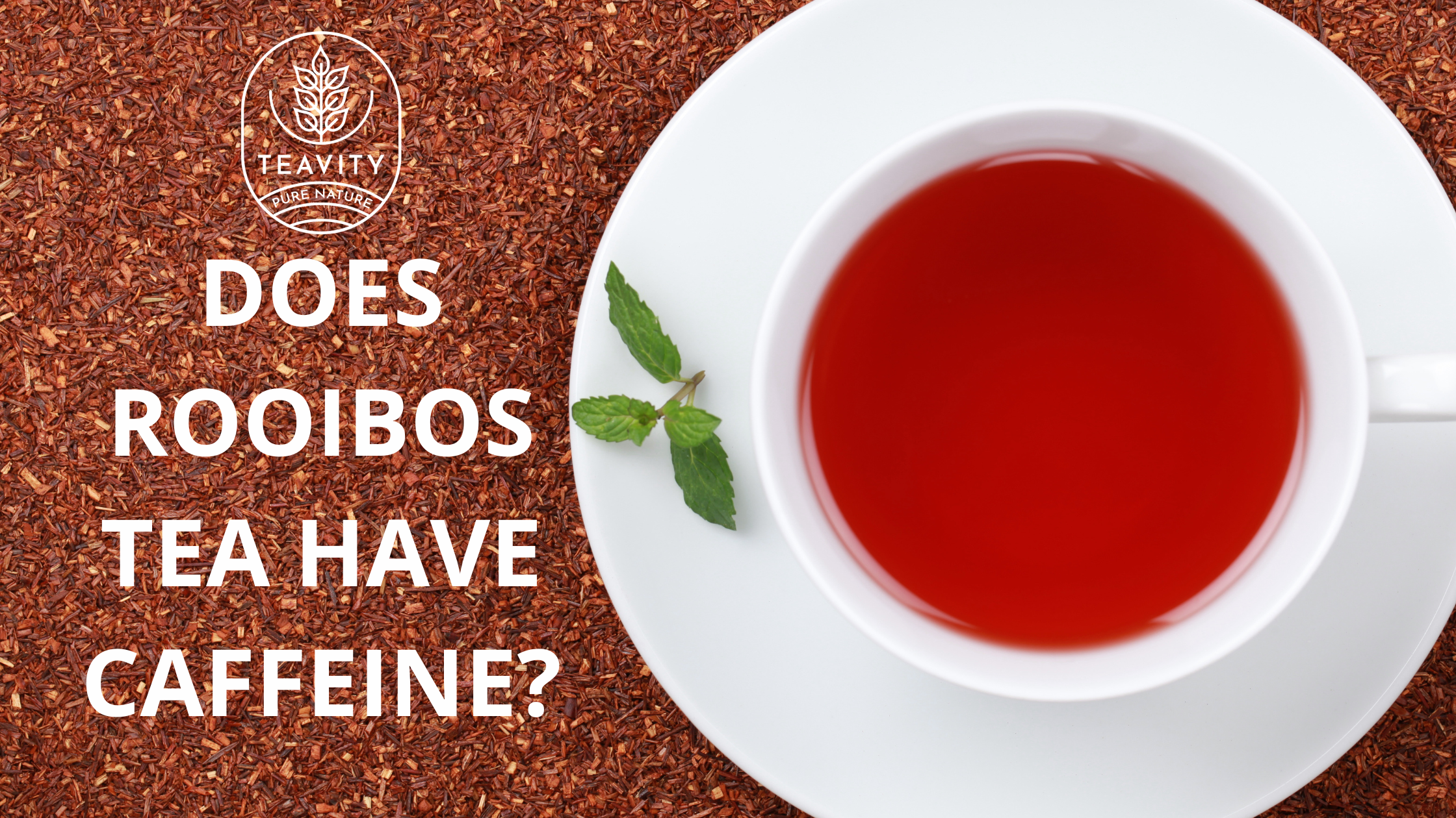 Does-Rooibos-Tea-Have-Caffeine Teavity