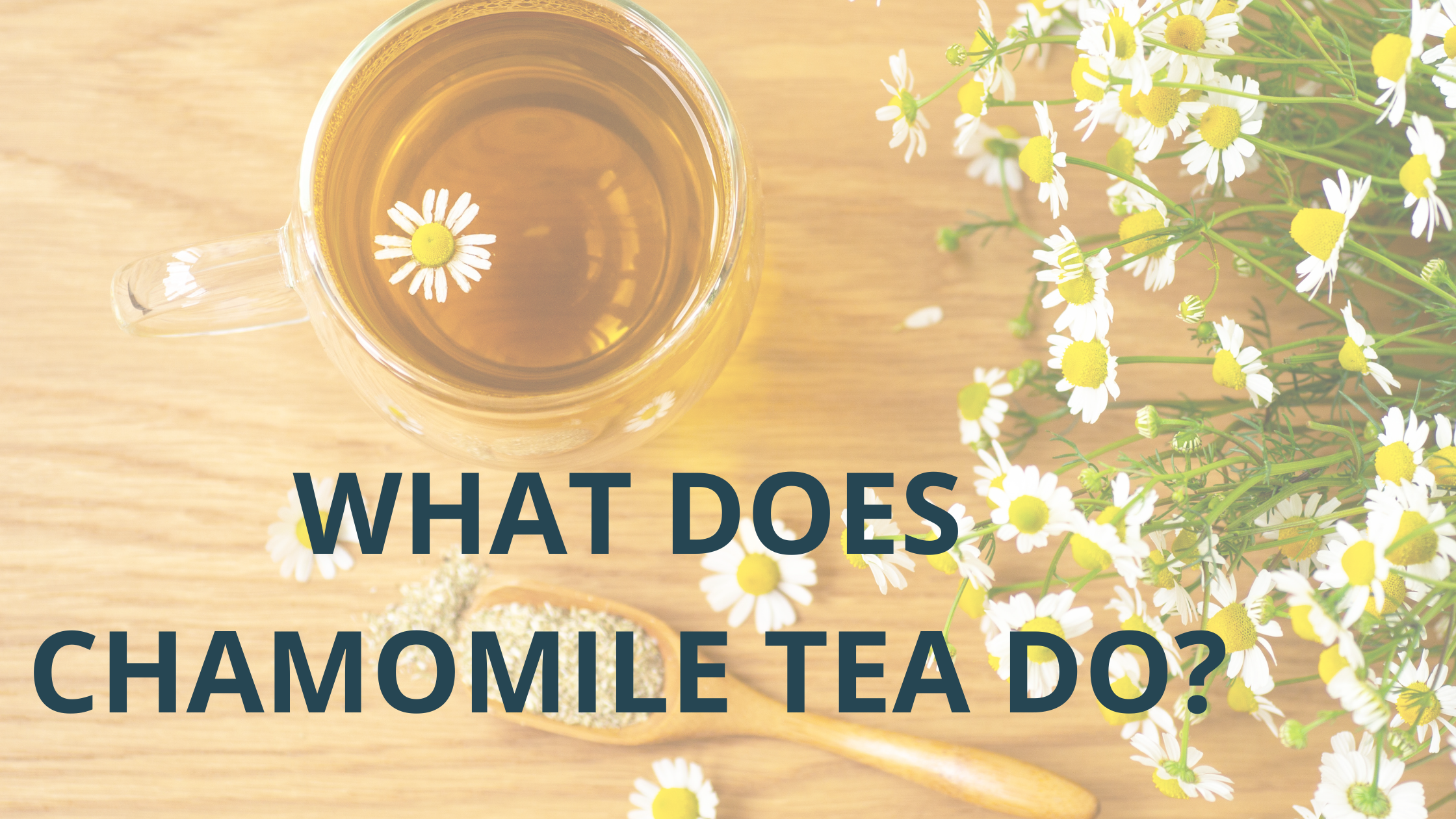 What-Does-Chamomile-Tea-Do Teavity