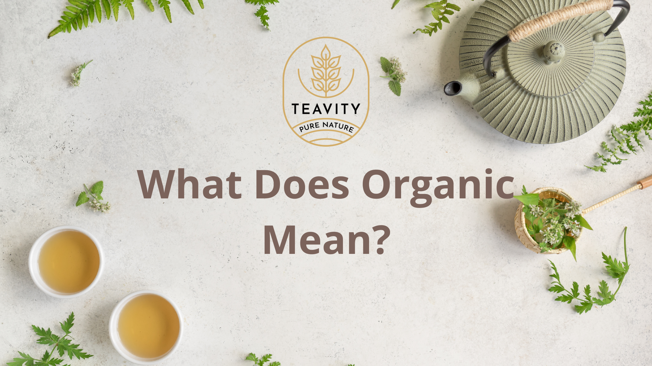 What-does-Organic-Mean Teavity