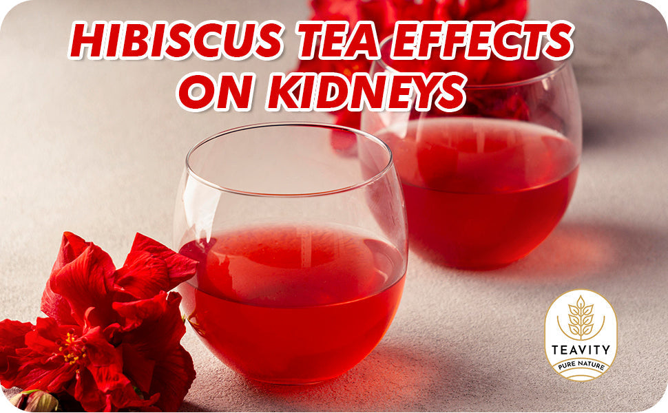 Hibiscus-Tea-Effects-on-Kidneys Teavity