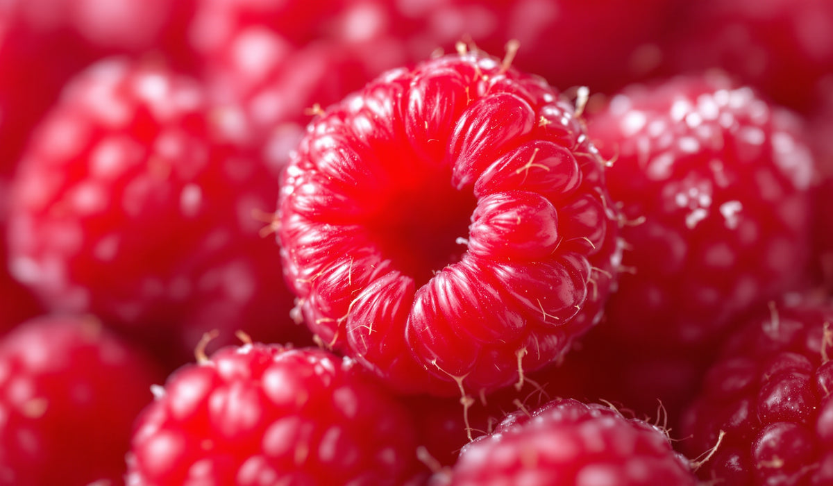 Raspberry — Teavity organic tea aroma