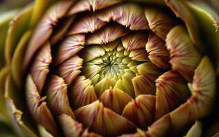 Artichoke
