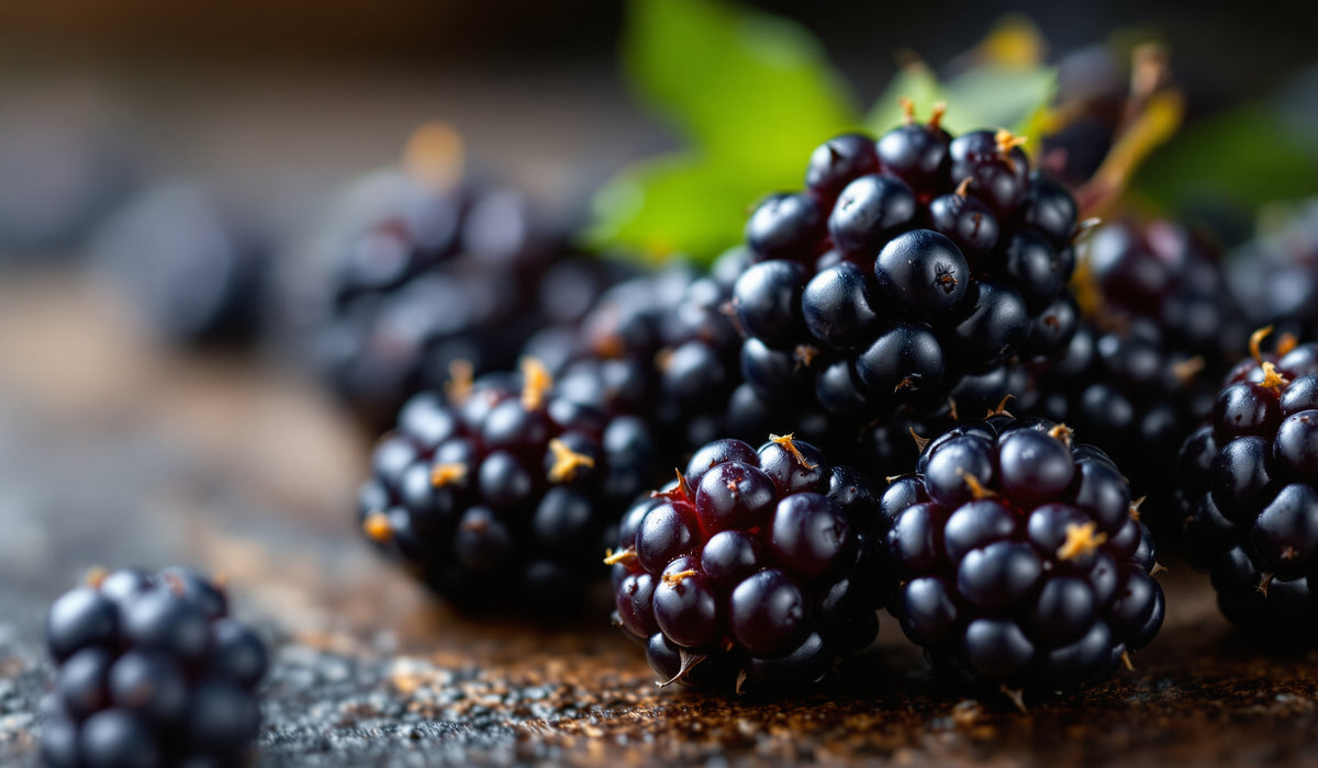 Blackberry — Teavity organic tea aroma