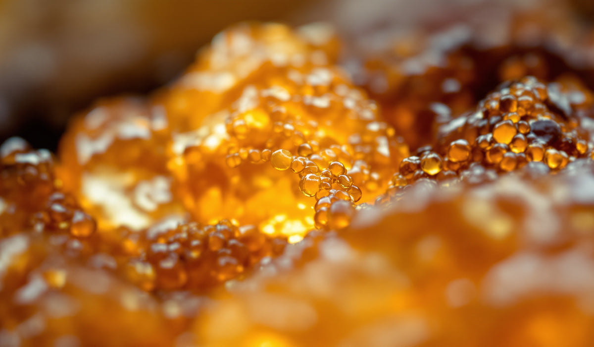 Amber — Teavity organic tea aroma
