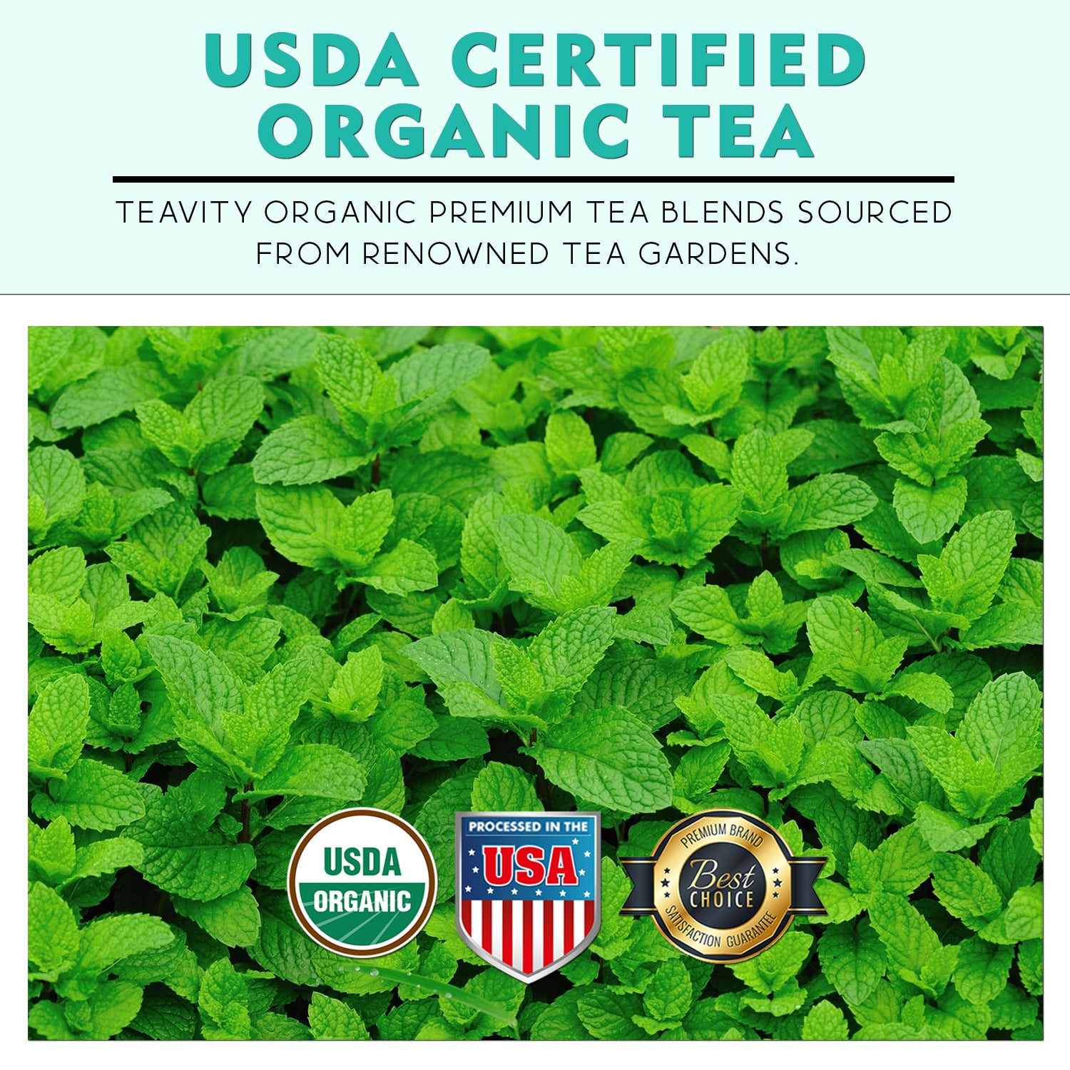 Organic Licorice Peppermint Tea Pods