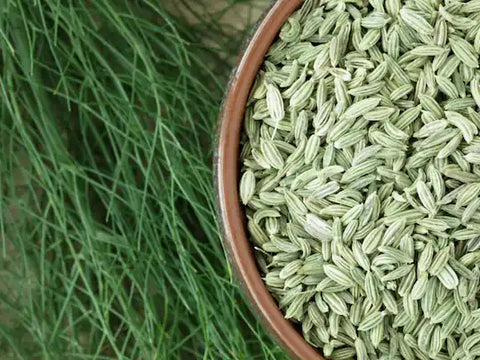 Fennel Seeds