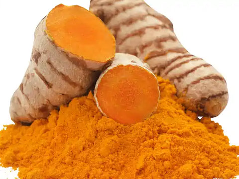 Curcuma longa