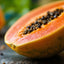 Papaya