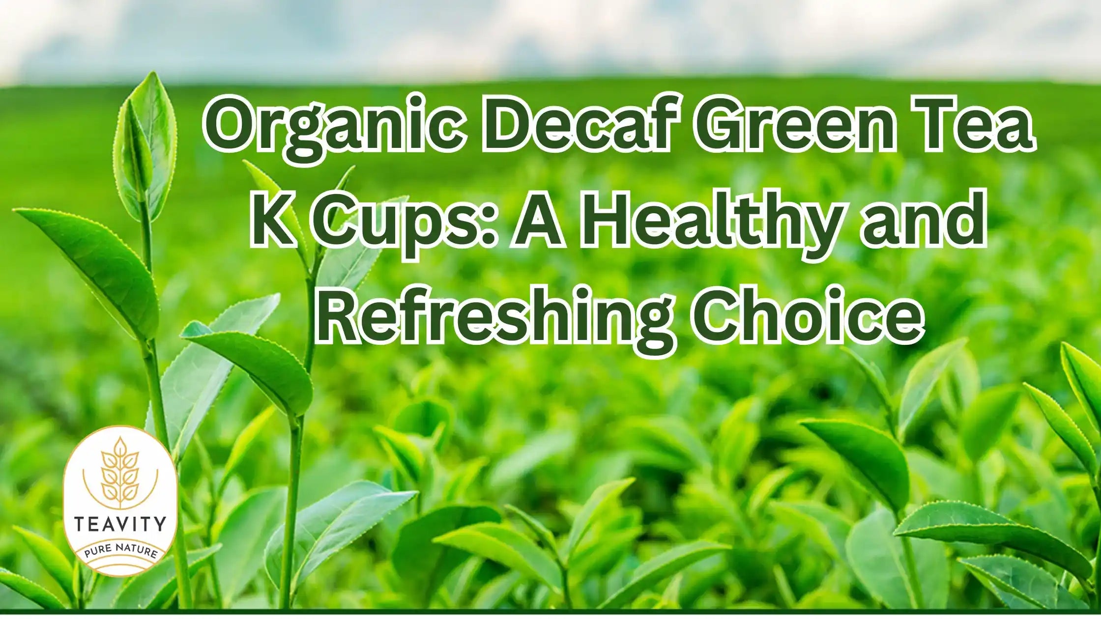 Organic Decaf Green Tea Pods: A Healthy and Refreshing Choice