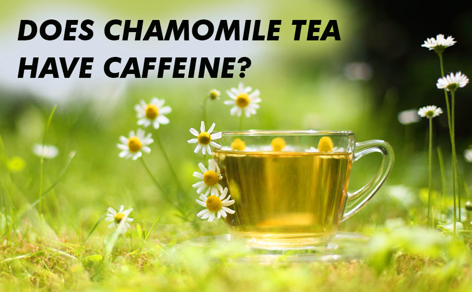 Does Chamomile Tea Have Caffeine?