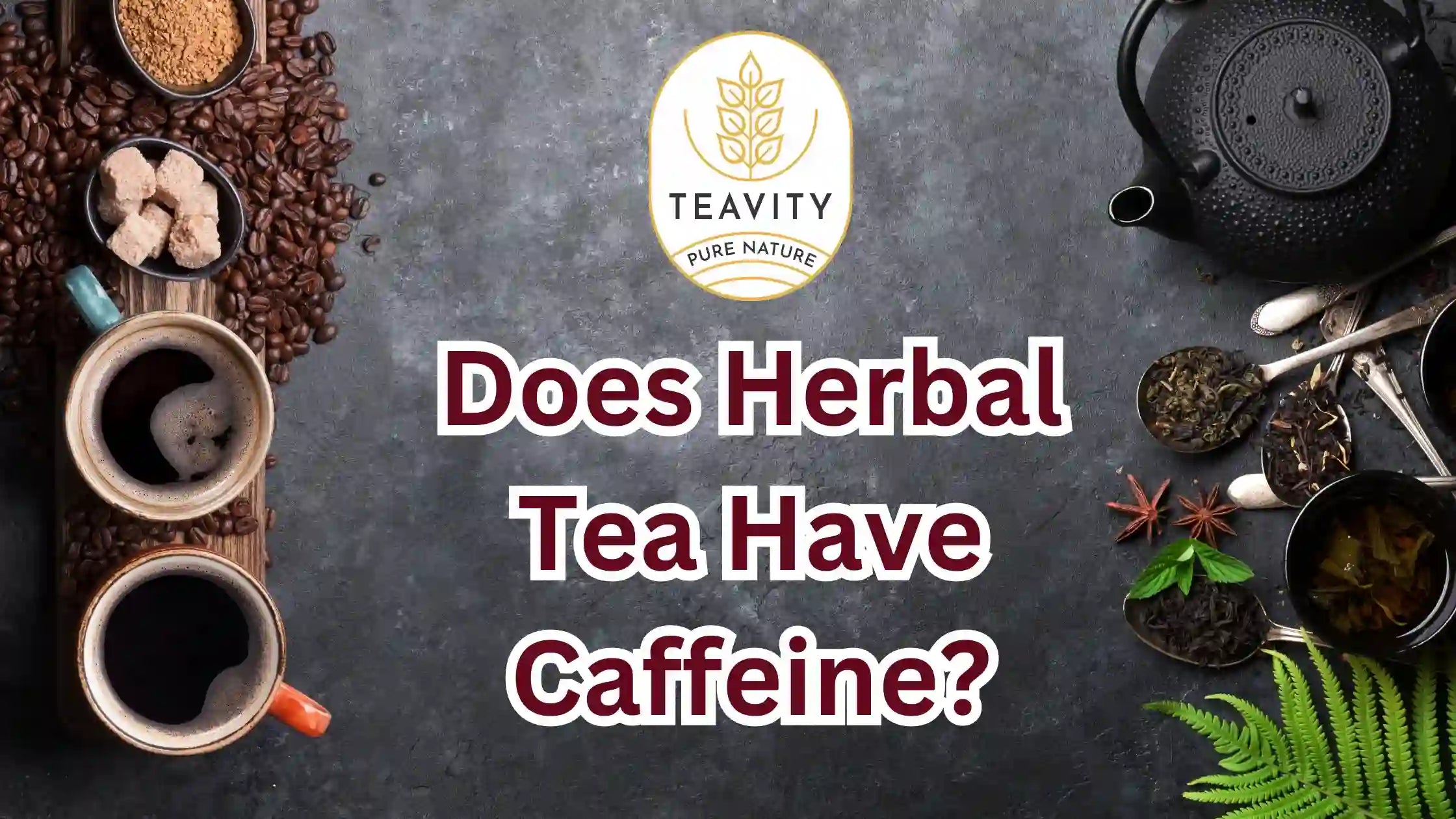 Does Herbal Tea Have Caffeine? Full Guide to Caffeine-Free Teas – Teavity