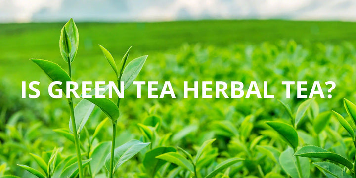 Is Green Tea Herbal Tea? Teavity