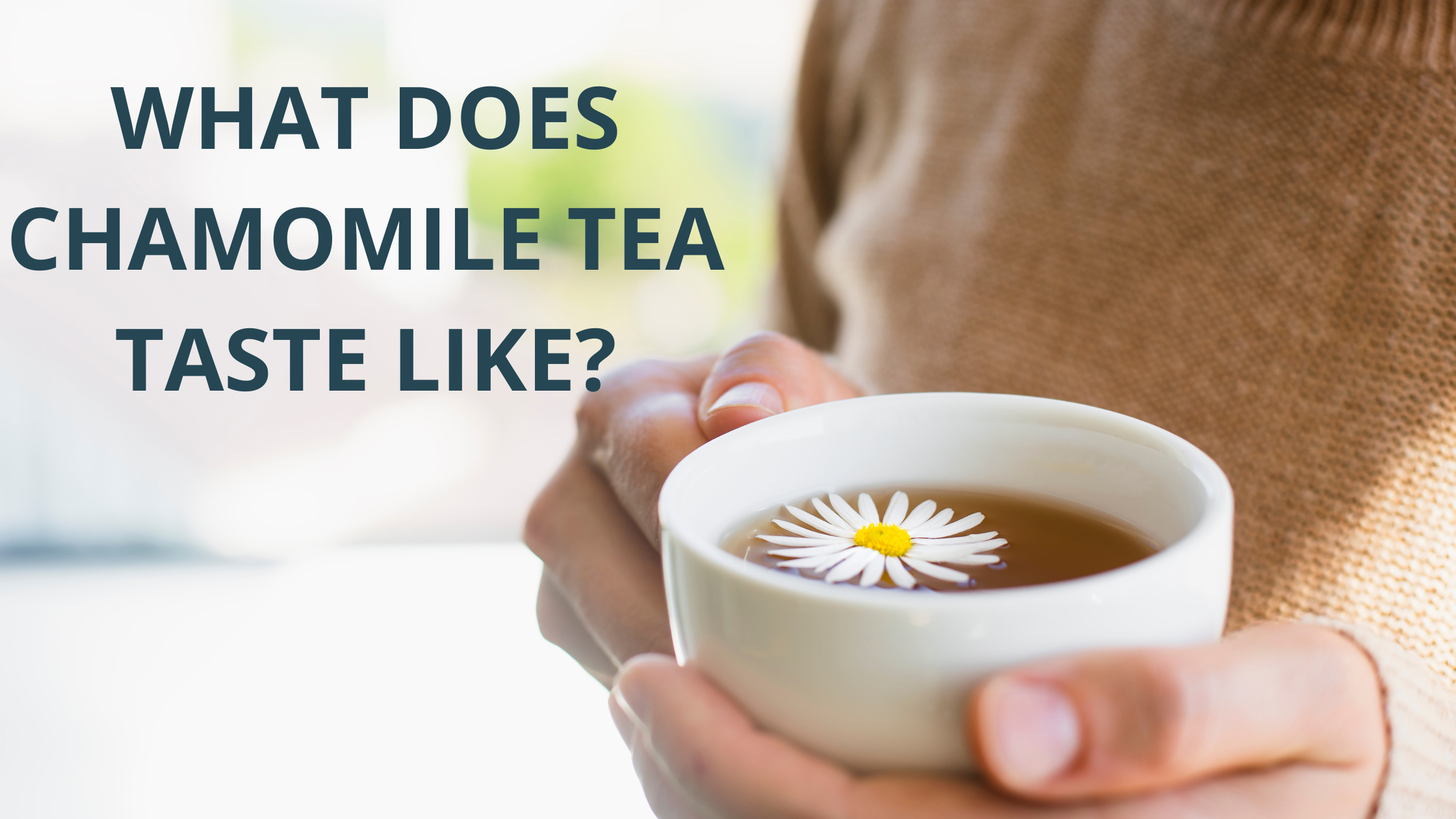 What Does Chamomile Tea Taste Like?