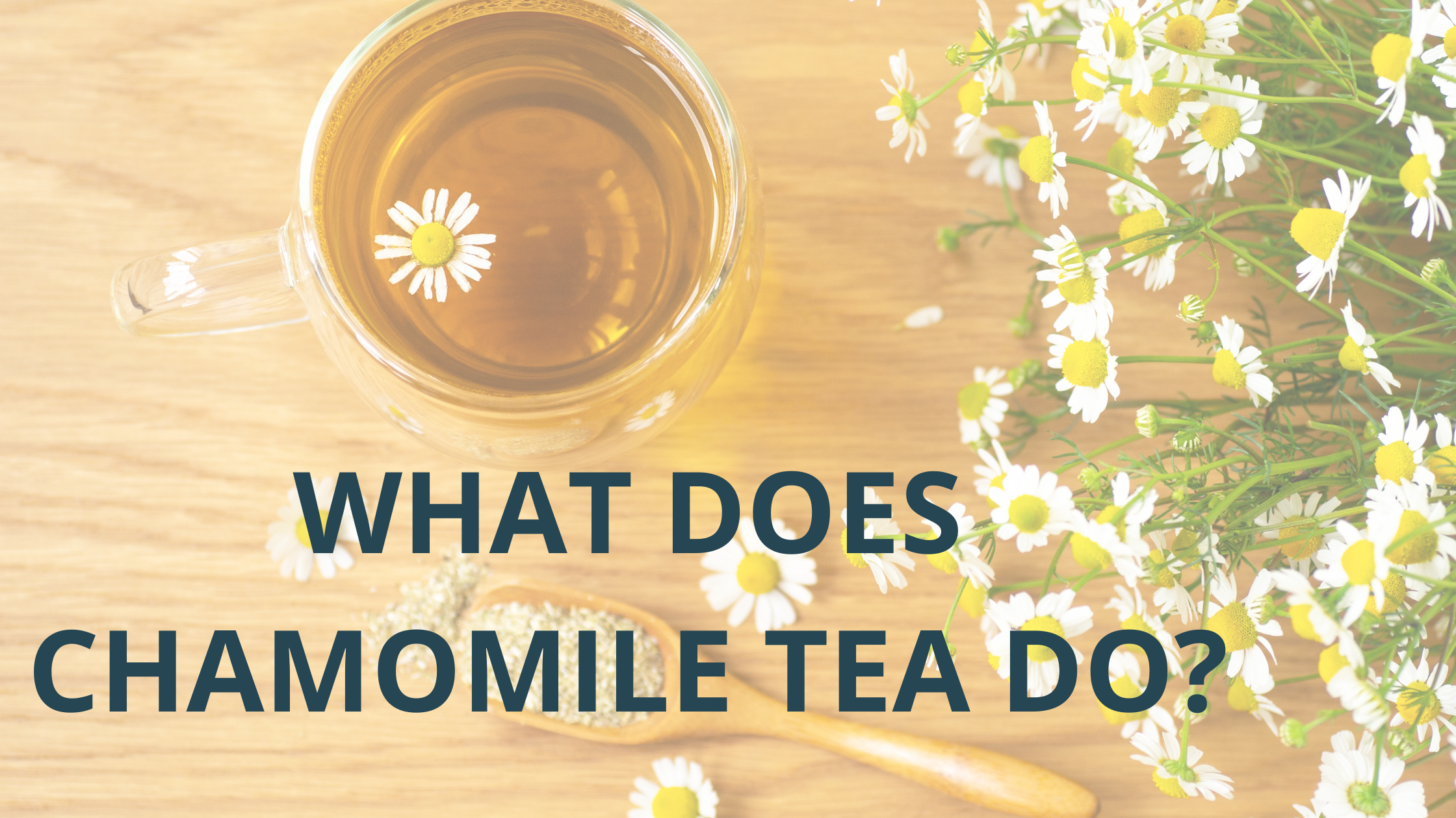 What Does Chamomile Tea Do?