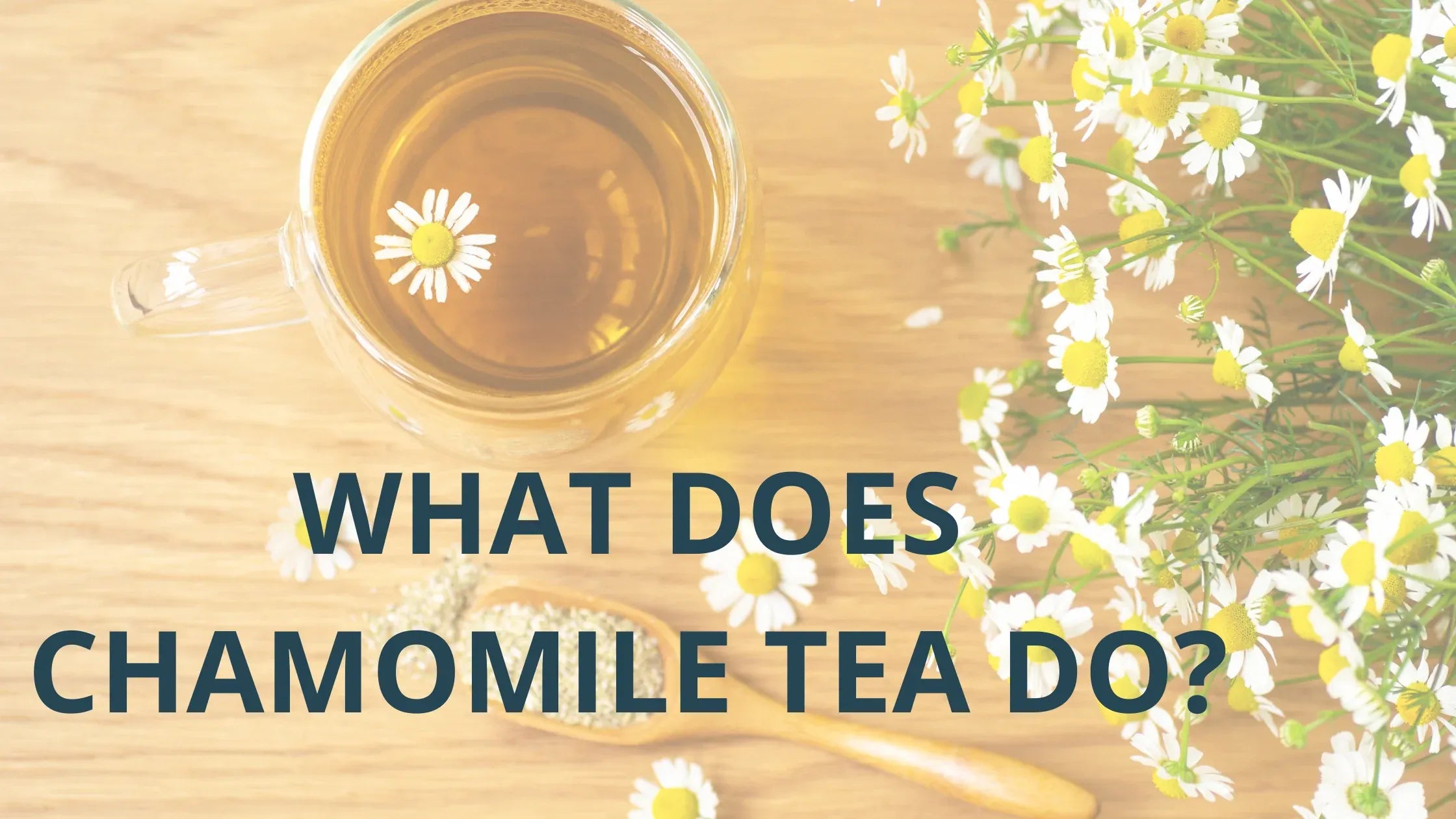 What Does Chamomile Tea Do?