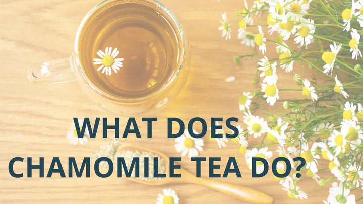What Does Chamomile Tea Do?