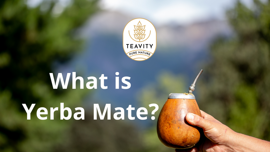 What is Yerba Mate?