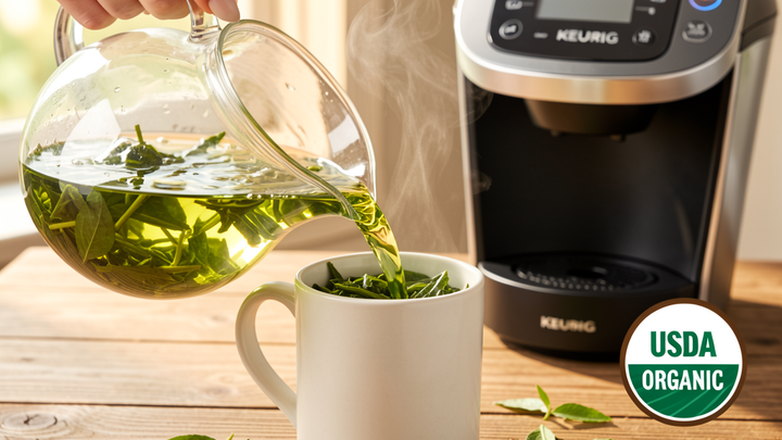 What Makes the Best Organic Green Tea Pods? A Complete Buyer's Guide Teavity