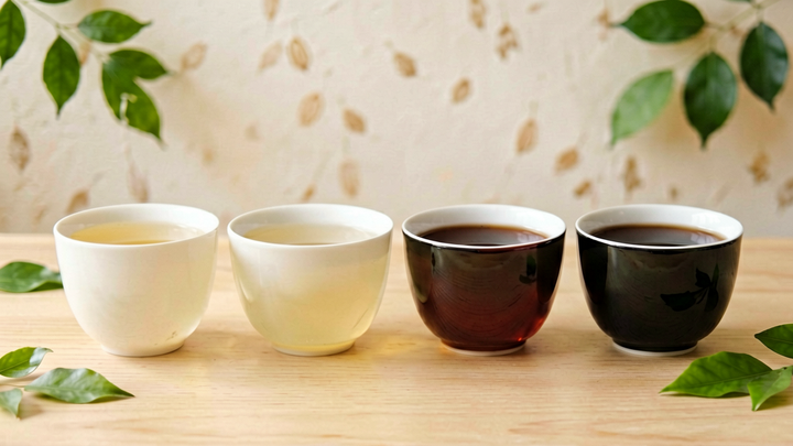A row of four cups of tea from pale white tea to dark black tea