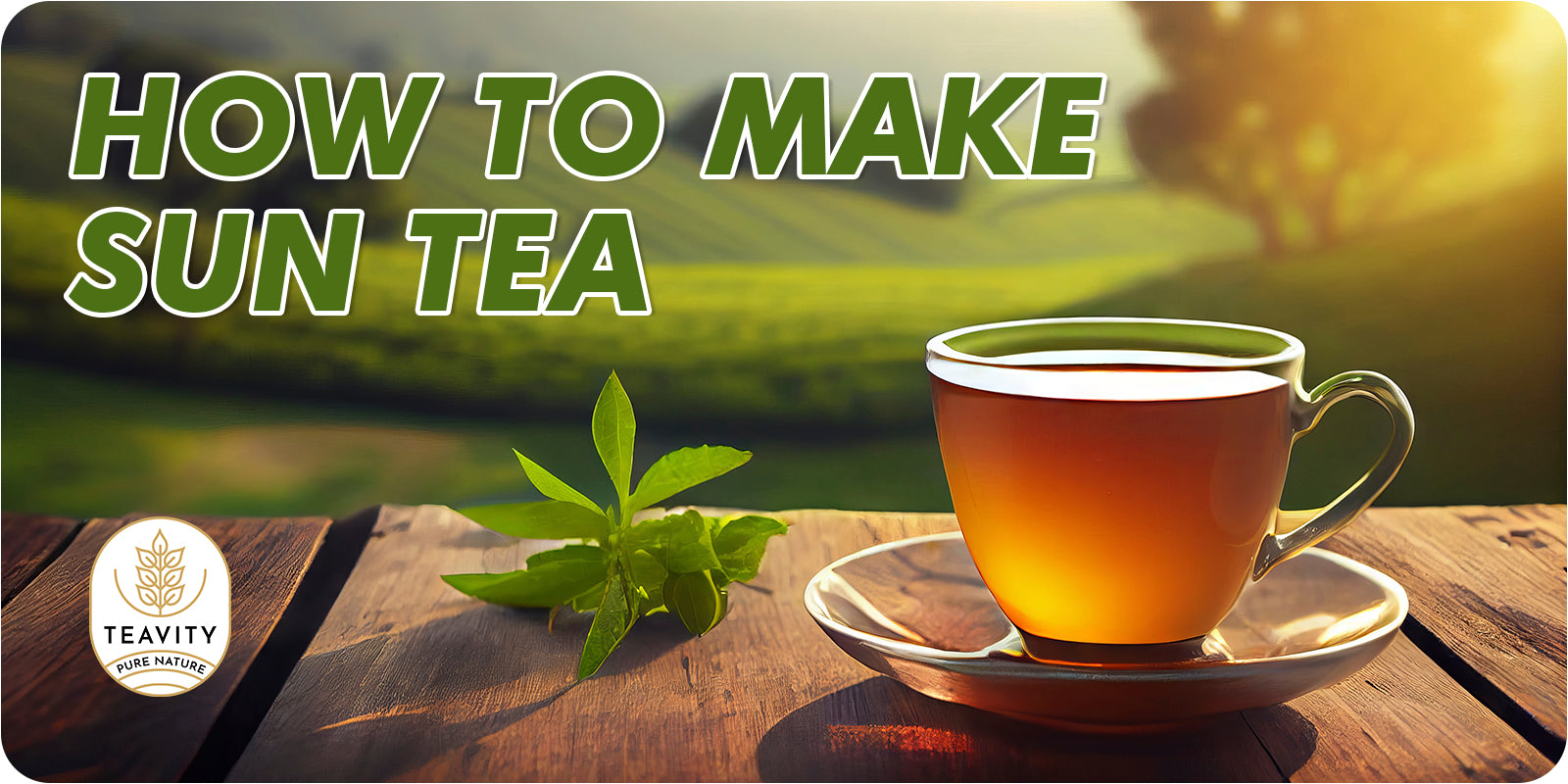 How to Make Sun Tea? โ Teavity