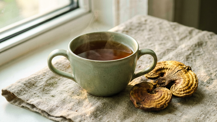 A steaming cup of mushroom tea beside dried reishi and lion's mane mushrooms