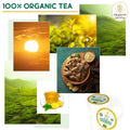 100% organic peppermint ginger tea pods by Teavity sourced from premium tea gardens