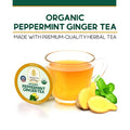 Teavity Organic Peppermint Ginger Tea Pod with fresh ginger and mint leaves