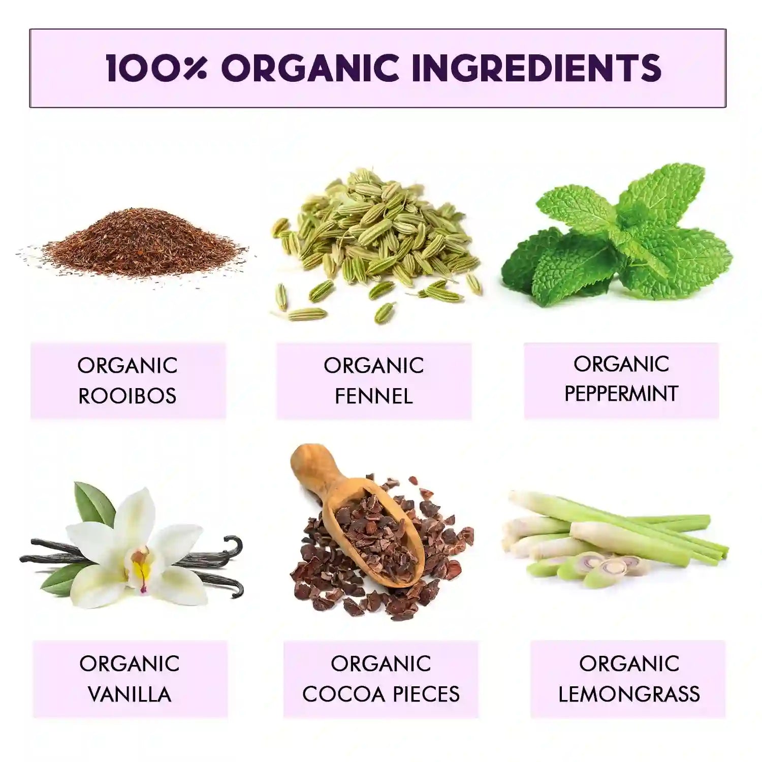 Organic Rooibos, Fennel, Peppermint, and Cocoa ingredients in Teavity After Dinner tea pods