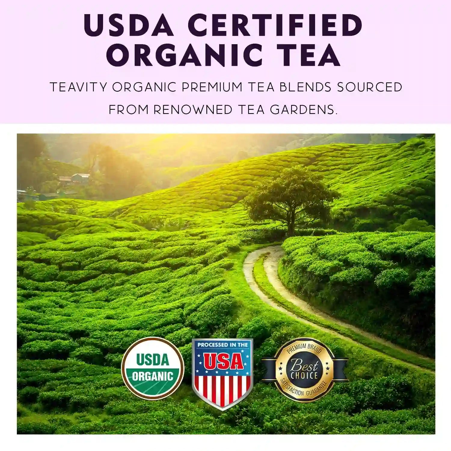 Organic tea USDA certified in Teavity After Dinner tea pods