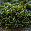 Seaweed
