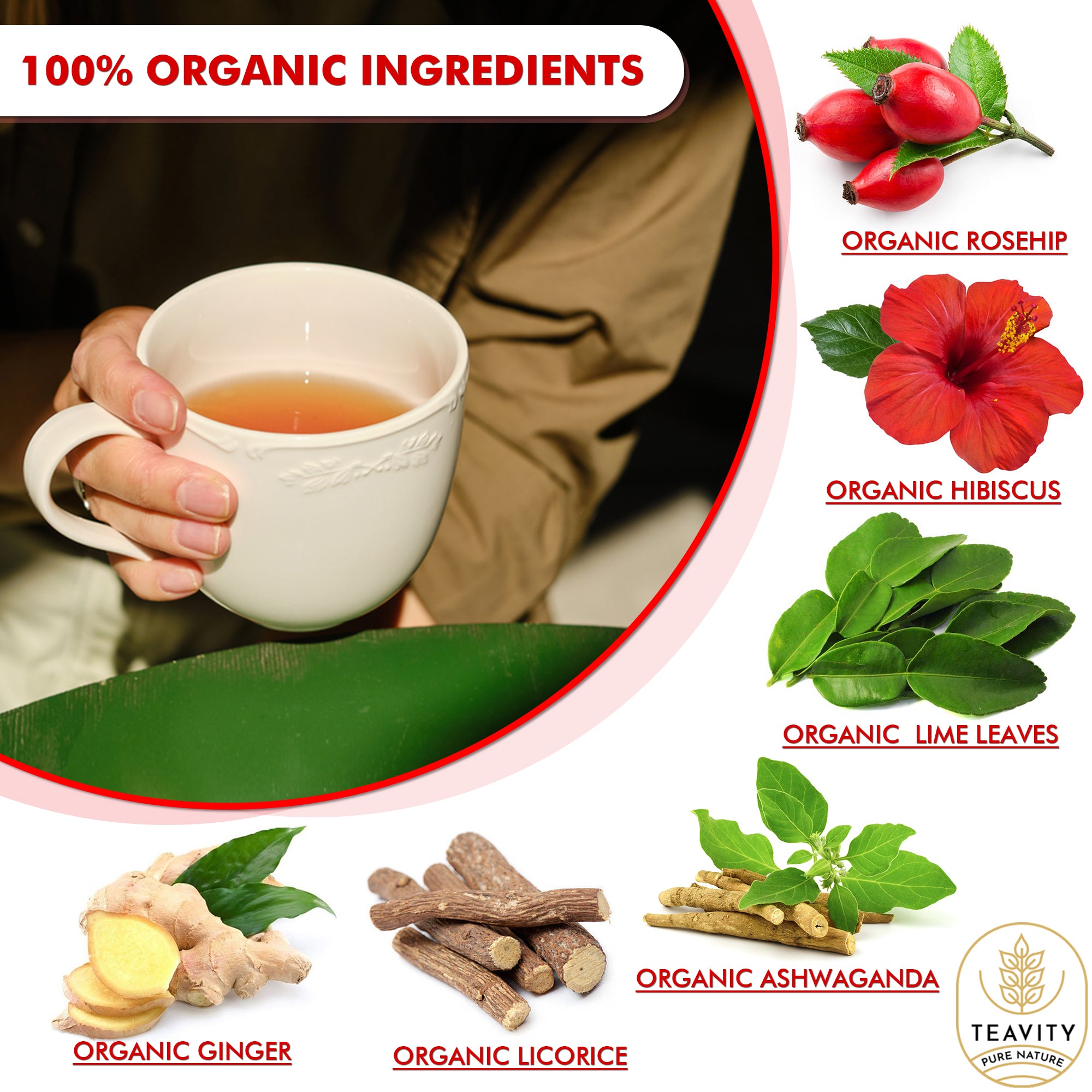 Organic Energizing Tea Pods Supporting Digestion and Mood Enhancement