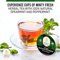 Experience Cups Of Minty Fresh Herbal Tea With 100% Natural Spearmint And Peppermint from Teavity