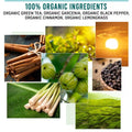 Organic Shape Slimmer green tea pods with garcinia, cinnamon and lemongrass ingredients