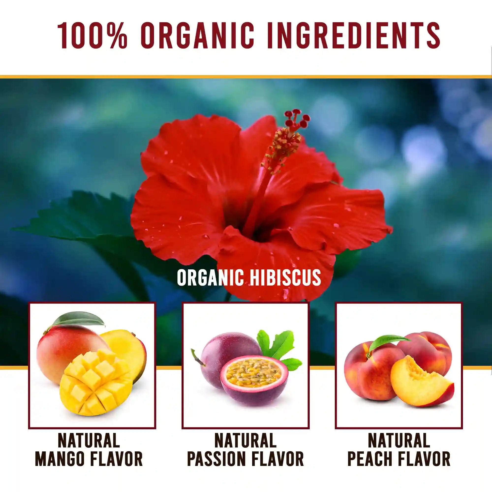 Teavity Organic Hawaiian Fruit Tea Pods with Antioxidant Benefits
