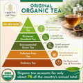 Organic Sencha Green Tea Loose Leaf – 12 oz | Japanese Steamed Camellia Sinensis - Teavity