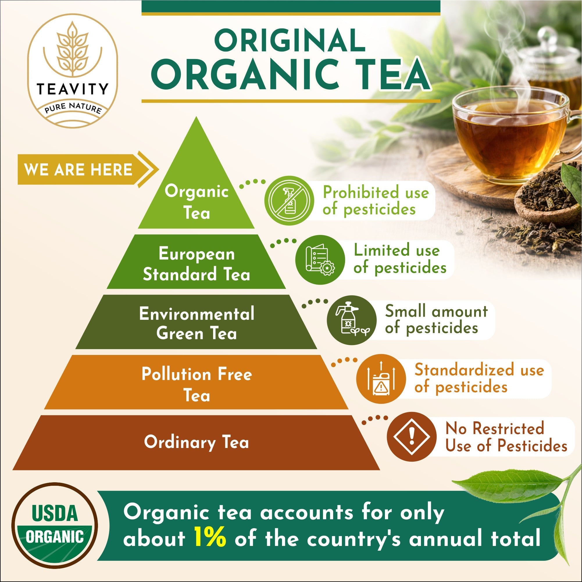Organic Sencha Green Tea Loose Leaf – 12 oz | Japanese Steamed Camellia Sinensis Teavity