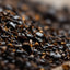 Black Tea