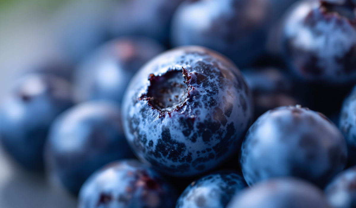 Blueberry — Teavity organic tea aroma
