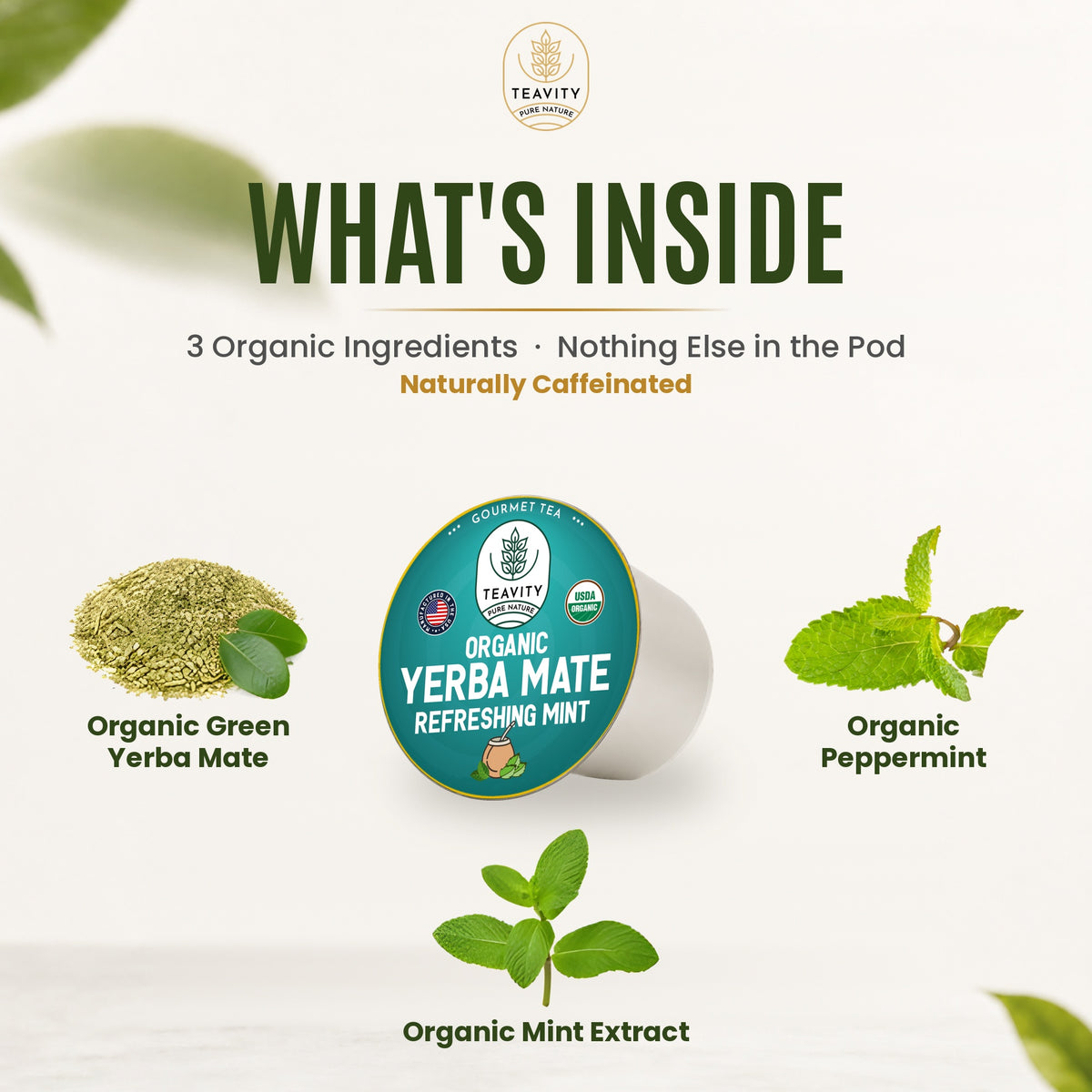 What's inside Teavity Organic Yerba Mate Refreshing Mint Tea Pods: organic ingredients, nothing else in the pod