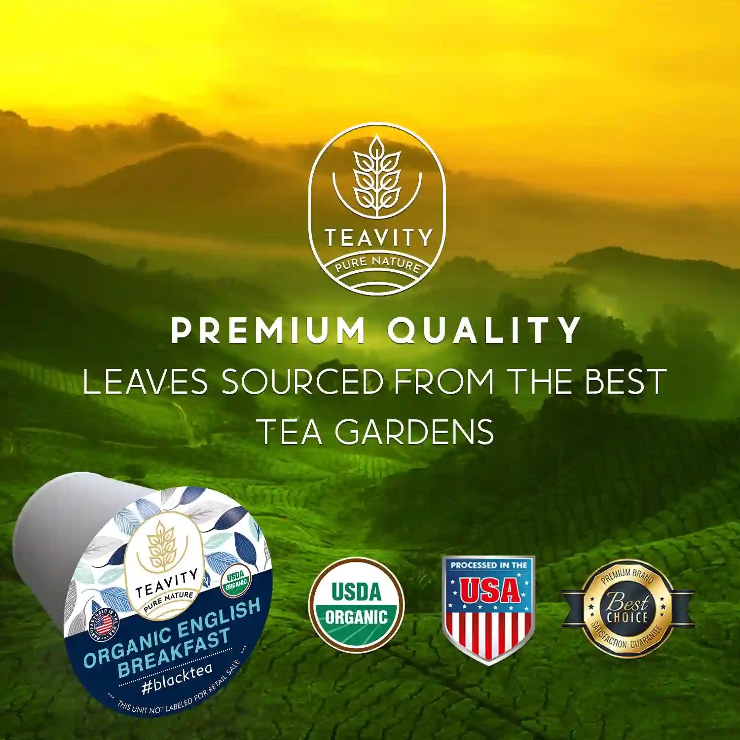 Teavity organic tea pods, premium quality leaves sourced from best gardens