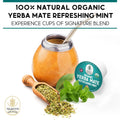 100% Organic Yerba Mate Refreshing Mint Tea Pods – Keurig Compatible from Teavity