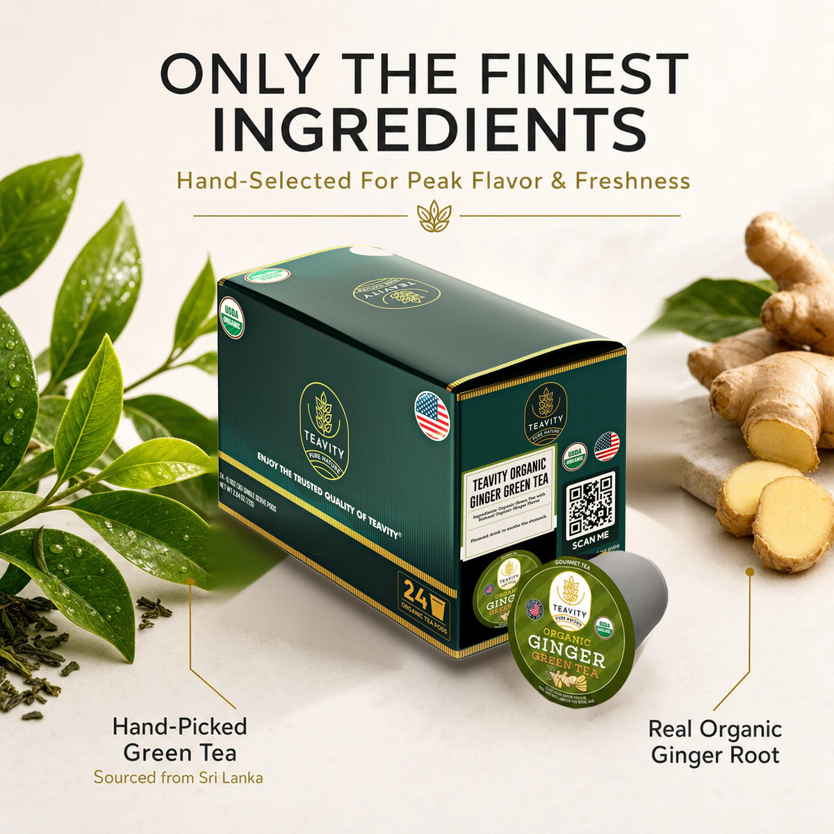 Only the finest ingredients, hand-picked green tea and real organic ginger root, 24 count box