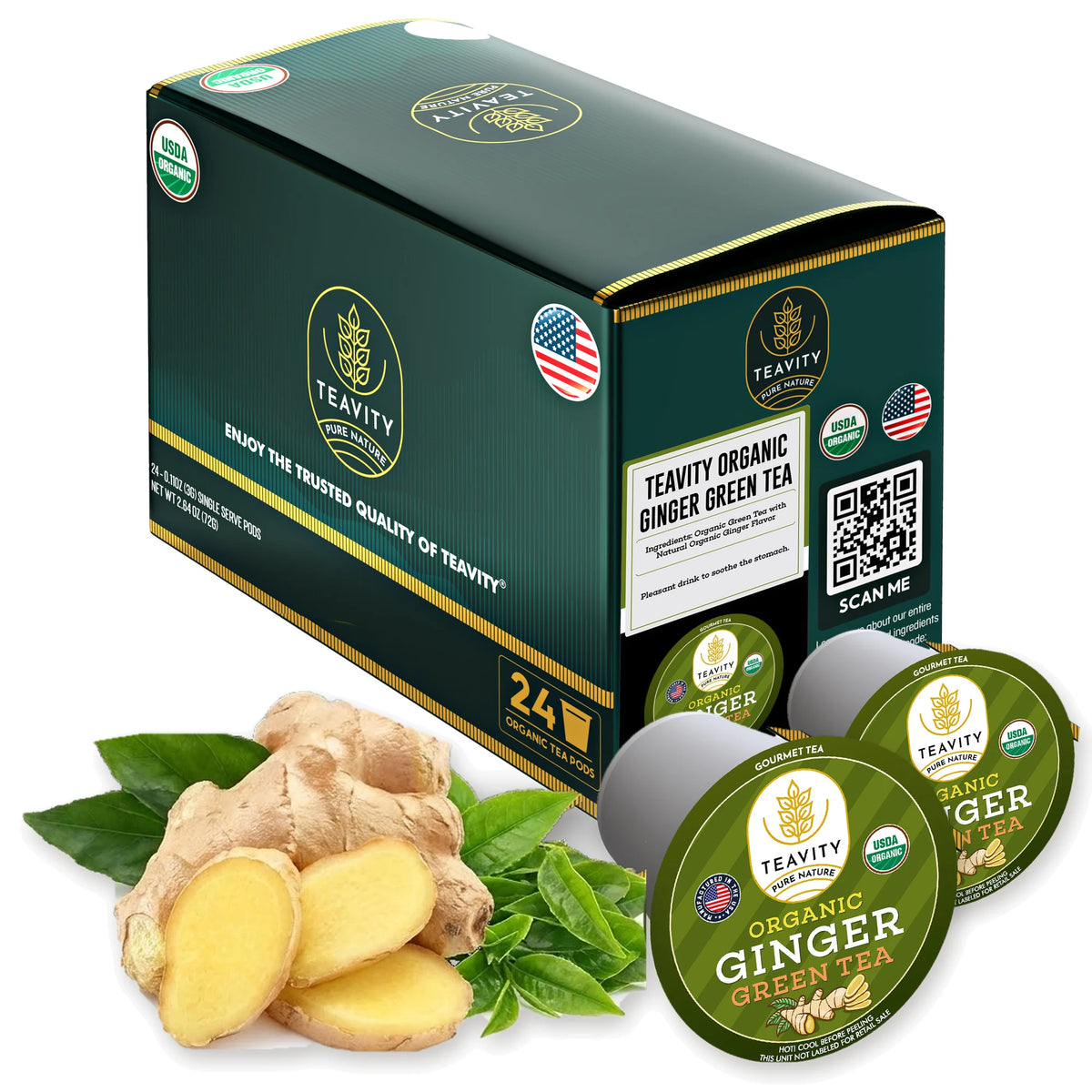 Teavity Organic Ginger Green Tea pods, 24 count box with fresh ginger root and green tea leaves