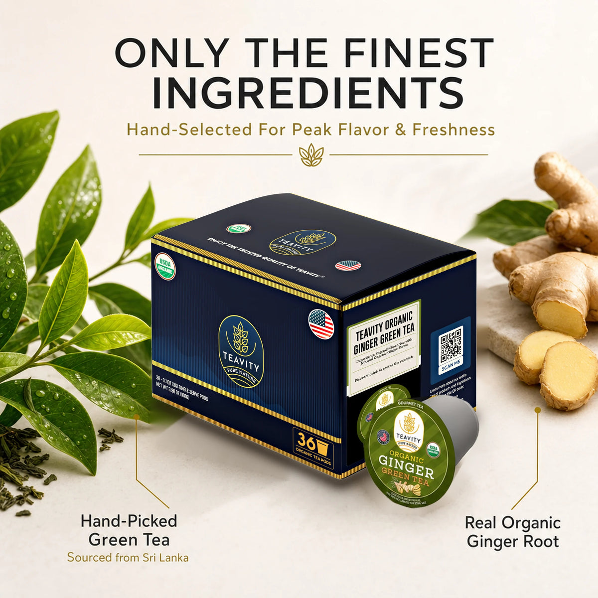 Only the finest ingredients, hand-picked green tea and real organic ginger root, 36 count box