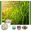 Teavity Organic Lemongrass Cinnamon Tea, premium quality leaves sourced from the best tea gardens