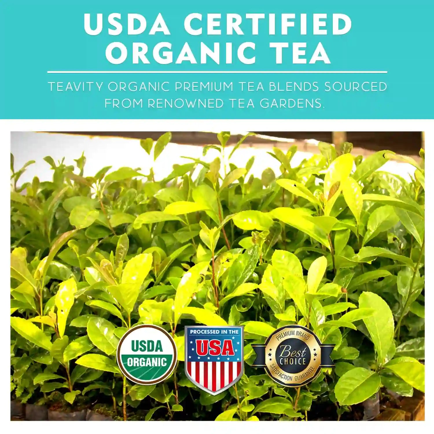 USDA Certified Organic Tea Pods for Keurig – Premium Teavity Blends