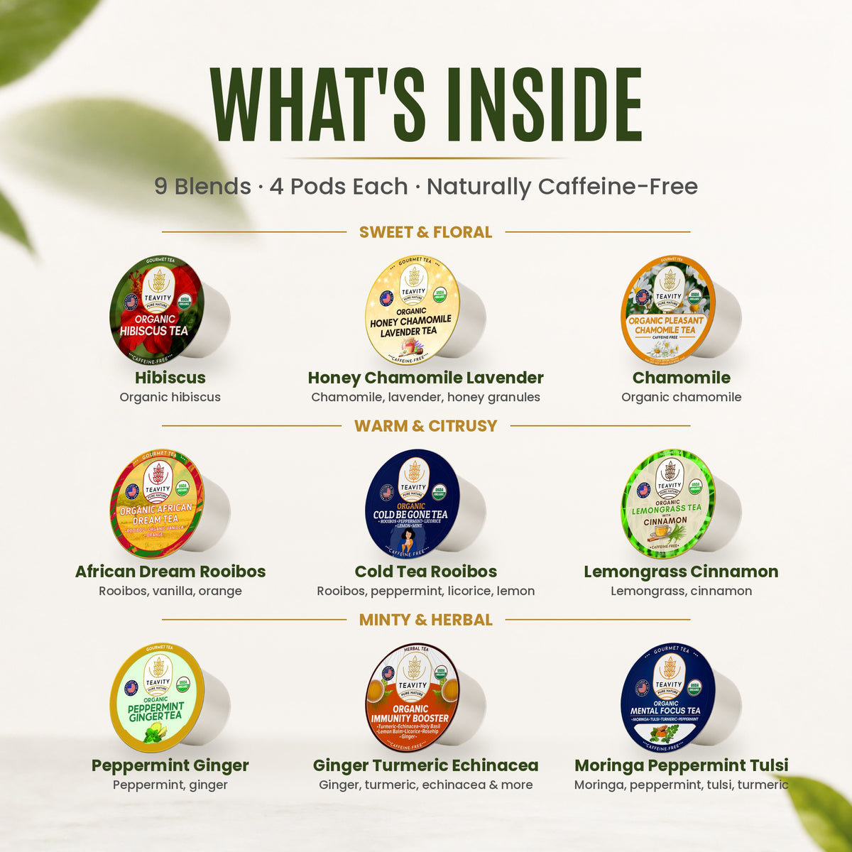 What's inside the Teavity Organic Herbal Tea Variety Pack, 36 count: the organic tea blends in the box